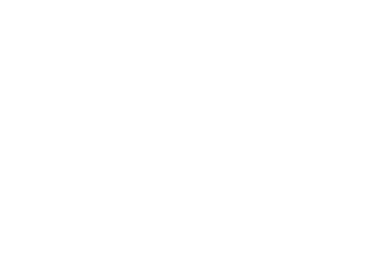 Thinker's Launchpad Logo